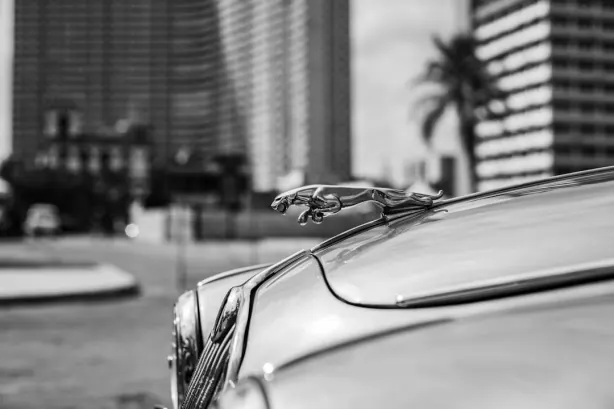 Betobet Casino Android/iOS Forrit